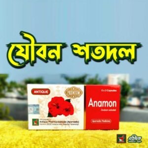 Anamon Premium - ৩০ পিস এক বক্স ফুল কোর্স