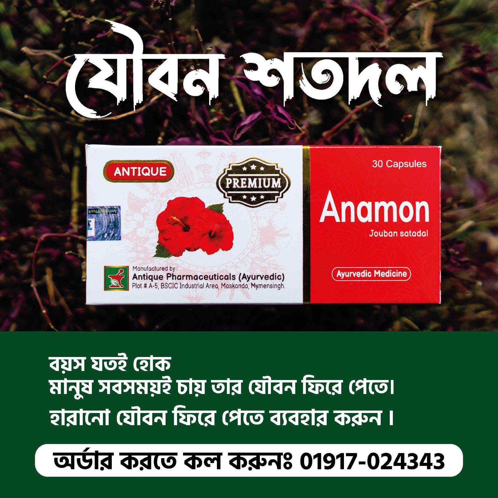 anamon-premium-2-1 - Copy